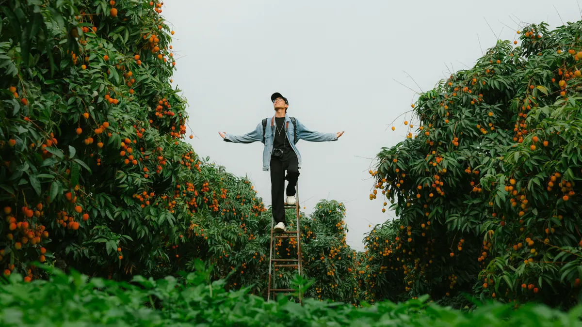 Switching from Ahrefs: complete checklist for moving subscriptions, exports, and workflows — Man on Ladder in Lush Lyche